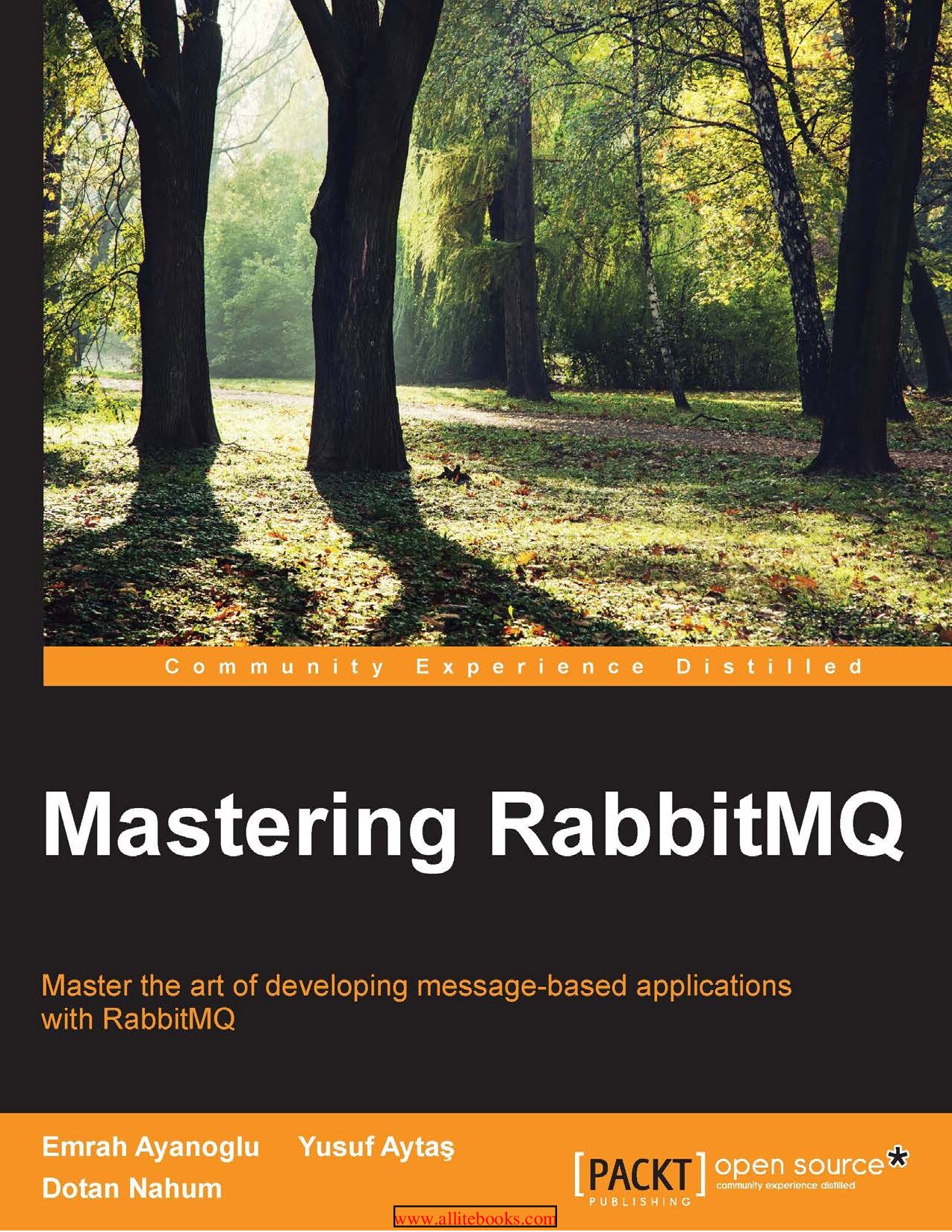 Mastering RabbitMQ