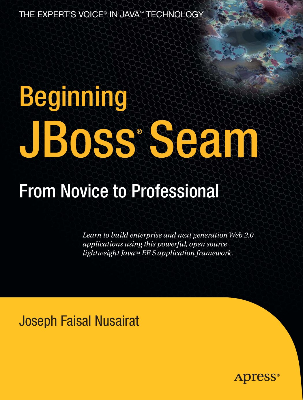 Beginning JBoss Seam, 2007