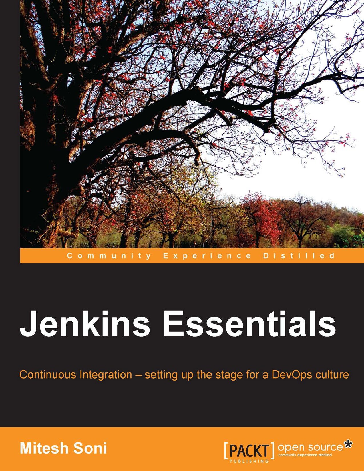 Jenkins Essentials