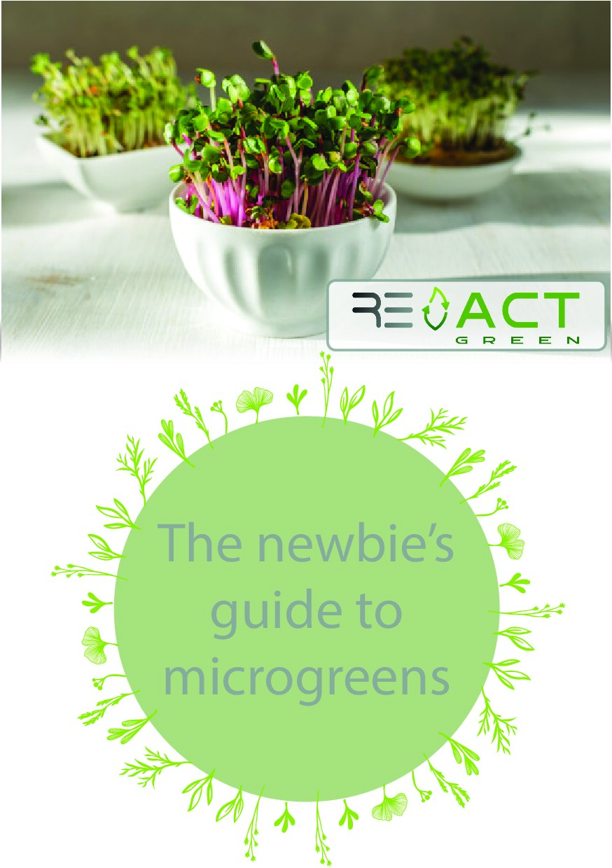 The Newbie's guide to microgreens