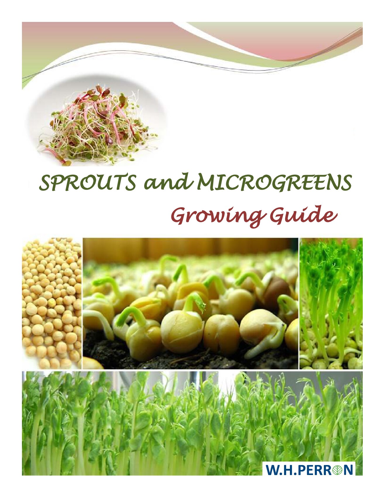 Sprouts And Microgreens - Growing-guide
